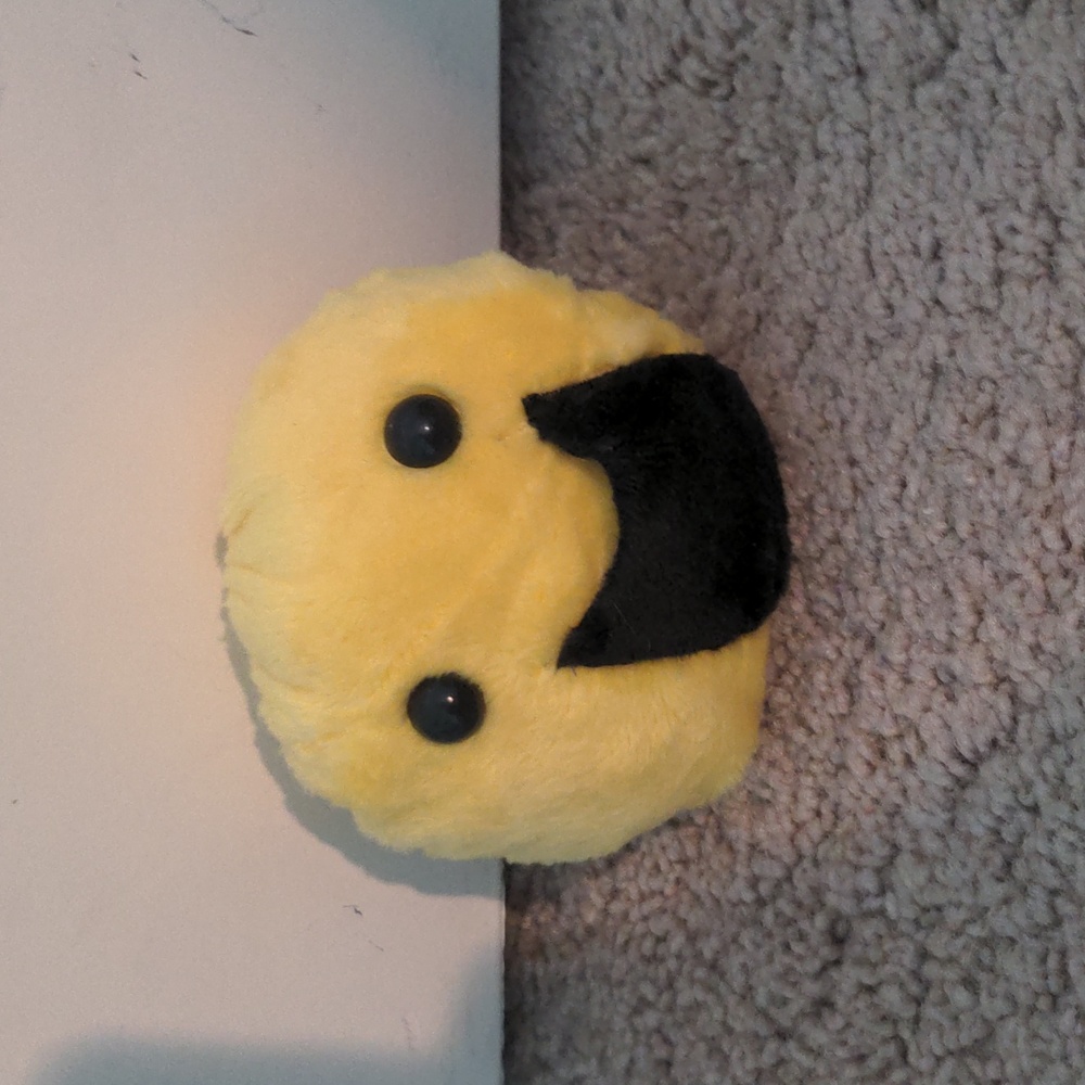 Pocket Pal #10